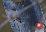 Image of Security police Quick Reaction Team Vietnam, 1970, second 21 stock footage video 65675042972