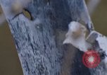 Image of Security police Quick Reaction Team Vietnam, 1970, second 22 stock footage video 65675042972