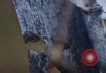 Image of Security police Quick Reaction Team Vietnam, 1970, second 23 stock footage video 65675042972