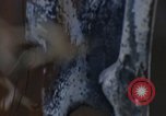 Image of Security police Quick Reaction Team Vietnam, 1970, second 29 stock footage video 65675042972