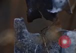 Image of Security police Quick Reaction Team Vietnam, 1970, second 45 stock footage video 65675042972