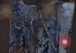 Image of Security police Quick Reaction Team Vietnam, 1970, second 46 stock footage video 65675042972