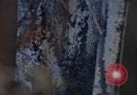 Image of Security police Quick Reaction Team Vietnam, 1970, second 47 stock footage video 65675042972