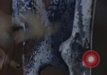 Image of Security police Quick Reaction Team Vietnam, 1970, second 48 stock footage video 65675042972