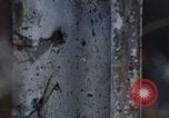Image of Security police Quick Reaction Team Vietnam, 1970, second 50 stock footage video 65675042972
