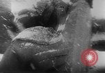 Image of Henry Harley Arnold Alaska USA, 1934, second 26 stock footage video 65675042991