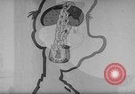 Image of Private Snafu United States USA, 1944, second 33 stock footage video 65675043012
