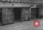 Immagine di Inondazioni in Giappone Giappone, 1967, secondo 14 filmato di repertorio 65675043033