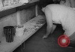 Immagine di Inondazioni in Giappone Giappone, 1967, secondo 31 filmato di repertorio 65675043033