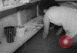 Immagine di Inondazioni in Giappone Giappone, 1967, secondo 32 filmato di repertorio 65675043033