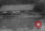 Immagine di Inondazioni in Giappone Giappone, 1967, secondo 49 filmato di repertorio 65675043033