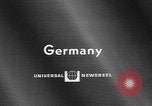 Immagine di Gorilla gemelli Germania, 1967, secondo 1 filmato di repertorio 65675043036