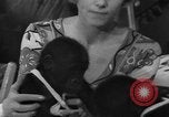 Immagine di Gorilla gemelli Germania, 1967, secondo 11 filmato di repertorio 65675043036