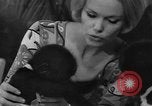 Immagine di Gorilla gemelli Germania, 1967, secondo 14 filmato di repertorio 65675043036