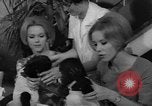 Immagine di Gorilla gemelli Germania, 1967, secondo 21 filmato di repertorio 65675043036