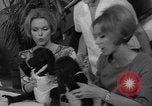 Immagine di Gorilla gemelli Germania, 1967, secondo 22 filmato di repertorio 65675043036