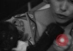 Immagine di Gorilla gemelli Germania, 1967, secondo 24 filmato di repertorio 65675043036