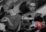 Immagine di Gorilla gemelli Germania, 1967, secondo 33 filmato di repertorio 65675043036
