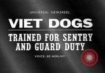 Image of German Shepard dog Vietnam, 1967, second 3 stock footage video 65675043045