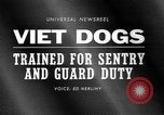 Image of German Shepard dog Vietnam, 1967, second 4 stock footage video 65675043045
