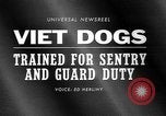 Image of German Shepard dog Vietnam, 1967, second 5 stock footage video 65675043045
