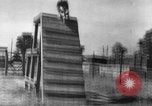 Image of German Shepard dog Vietnam, 1967, second 7 stock footage video 65675043045