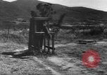 Image of German Shepard dog Vietnam, 1967, second 8 stock footage video 65675043045