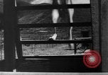 Image of German Shepard dog Vietnam, 1967, second 11 stock footage video 65675043045
