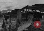 Image of German Shepard dog Vietnam, 1967, second 13 stock footage video 65675043045
