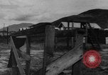 Image of German Shepard dog Vietnam, 1967, second 15 stock footage video 65675043045