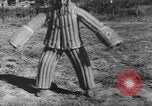 Image of German Shepard dog Vietnam, 1967, second 19 stock footage video 65675043045