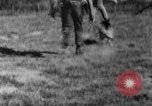 Image of German Shepard dog Vietnam, 1967, second 23 stock footage video 65675043045