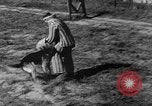 Image of German Shepard dog Vietnam, 1967, second 25 stock footage video 65675043045