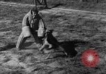 Image of German Shepard dog Vietnam, 1967, second 26 stock footage video 65675043045
