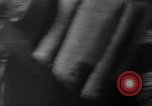 Image of German Shepard dog Vietnam, 1967, second 29 stock footage video 65675043045