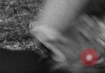 Image of German Shepard dog Vietnam, 1967, second 30 stock footage video 65675043045