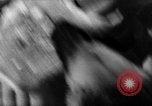 Image of German Shepard dog Vietnam, 1967, second 31 stock footage video 65675043045