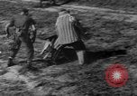 Image of German Shepard dog Vietnam, 1967, second 33 stock footage video 65675043045