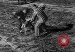 Image of German Shepard dog Vietnam, 1967, second 34 stock footage video 65675043045