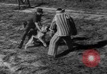 Image of German Shepard dog Vietnam, 1967, second 35 stock footage video 65675043045