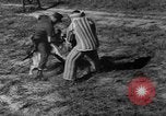 Image of German Shepard dog Vietnam, 1967, second 36 stock footage video 65675043045