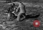Image of German Shepard dog Vietnam, 1967, second 37 stock footage video 65675043045