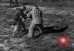 Image of German Shepard dog Vietnam, 1967, second 38 stock footage video 65675043045