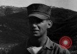 Image of German Shepard dog Vietnam, 1967, second 39 stock footage video 65675043045