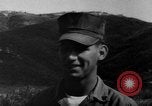 Image of German Shepard dog Vietnam, 1967, second 40 stock footage video 65675043045