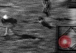 Image of German Shepard dog Vietnam, 1967, second 49 stock footage video 65675043045