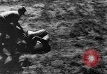 Image of German Shepard dog Vietnam, 1967, second 54 stock footage video 65675043045