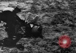 Image of German Shepard dog Vietnam, 1967, second 55 stock footage video 65675043045