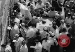 Immagine di Jewish Nuovo Anno al Muro Occidentale Gerusalemme Palestina, 1967, secondo 17 filmato di repertorio 65675043048