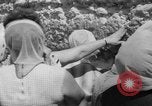 Immagine di Jewish Nuovo Anno al Muro Occidentale Gerusalemme Palestina, 1967, secondo 35 filmato di repertorio 65675043048